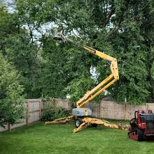 Best Fruit Tree Pruning  in Rockledge, FL